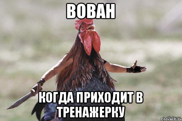 Вован петух