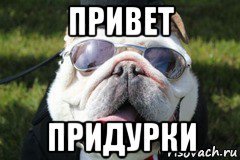 Привет придурки