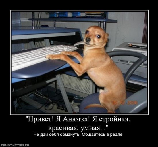 Всем привет демотиватор