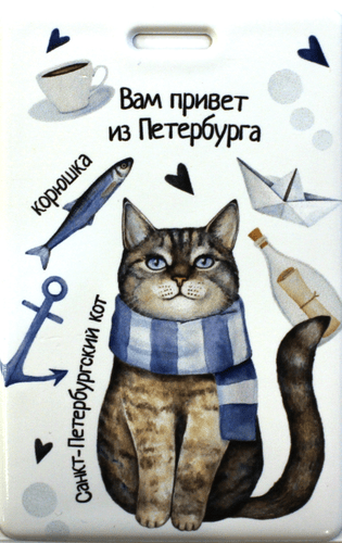 Котик привет из Питера