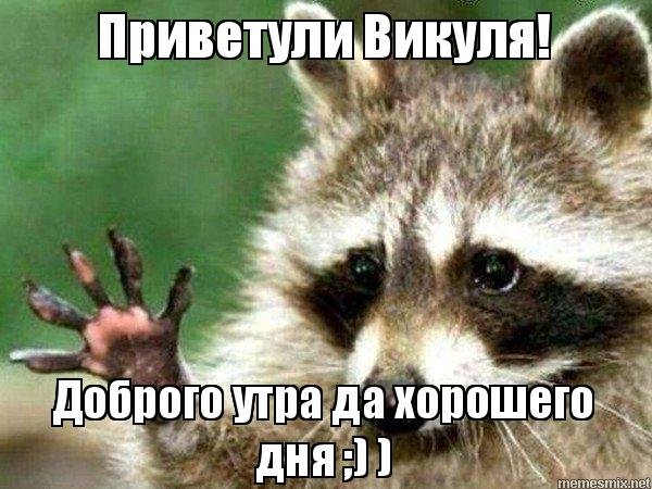 Доброе утро хорошего дня енот