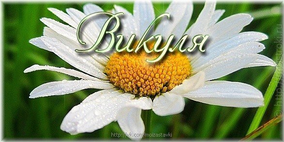 Цветы для Викули