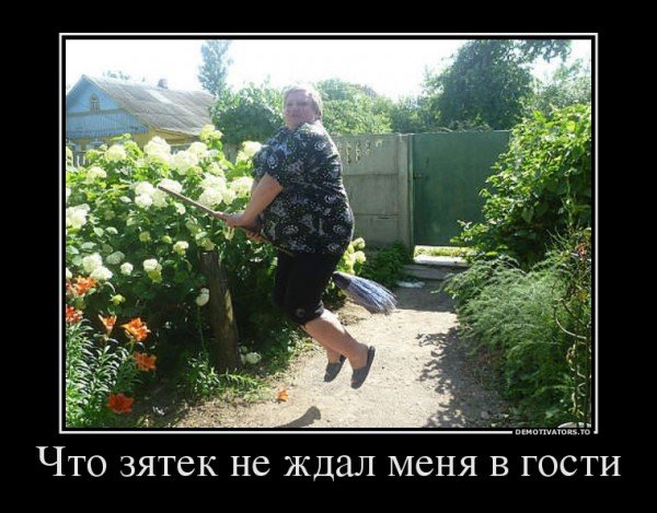 Теща юмор