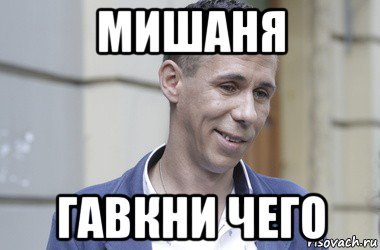 Мишаня Мем
