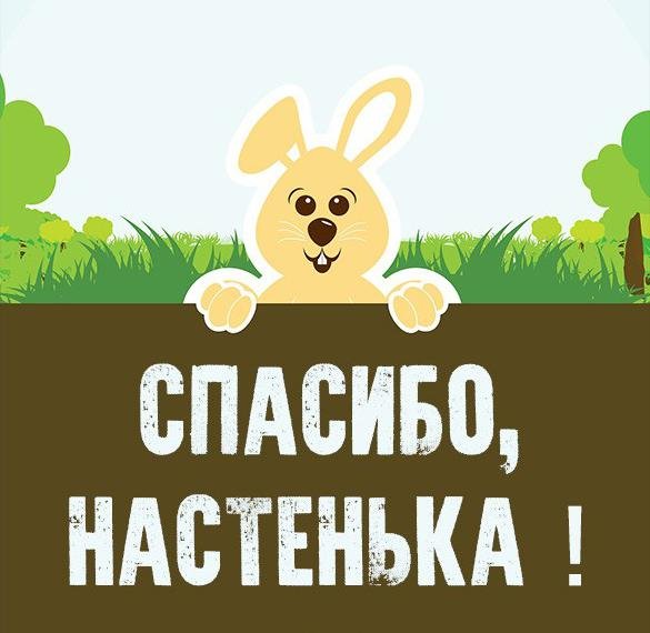 Привет Настенька