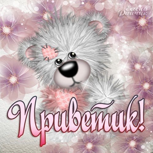 Приветик Медвежонок