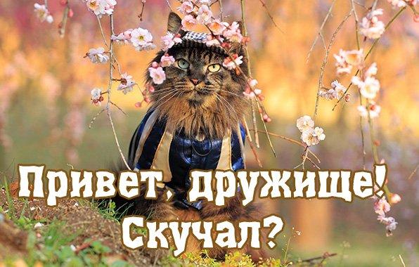 Привет, друзья!