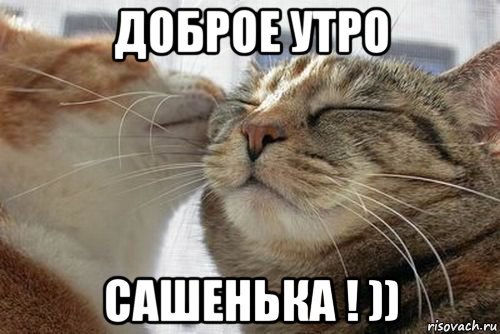 Открытки привет прикольные