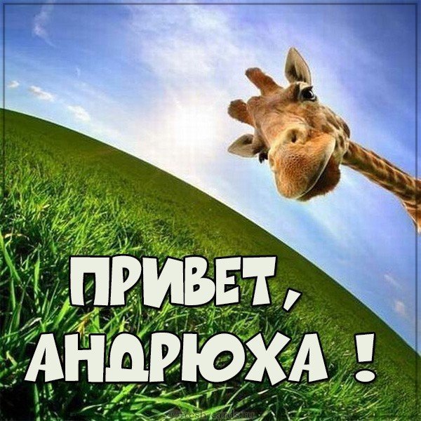 Надписи на футболках для мужчин именные