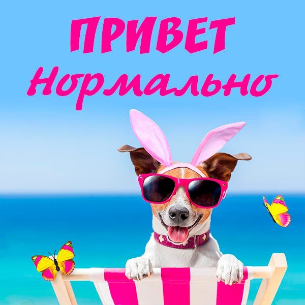 Привет Алеша