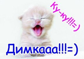 Гифка на имя Дима