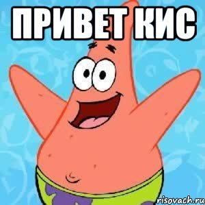 Привет киса