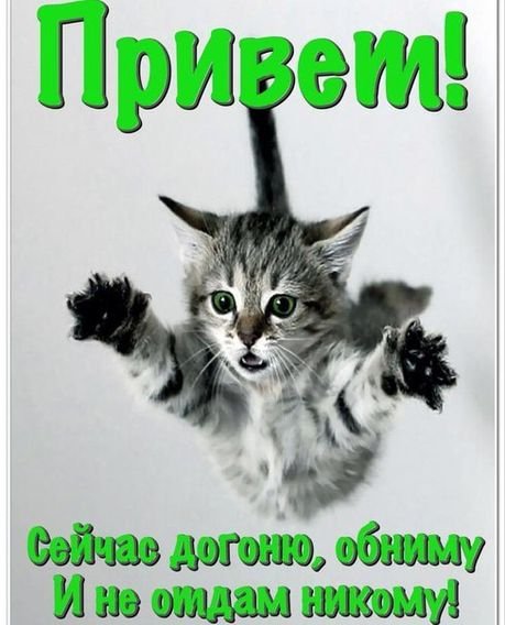 Улыбнись любимый