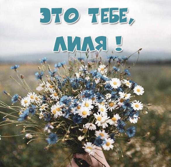 Привет Надя