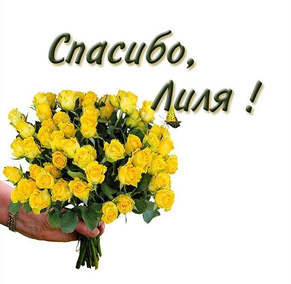 Привет Лиля