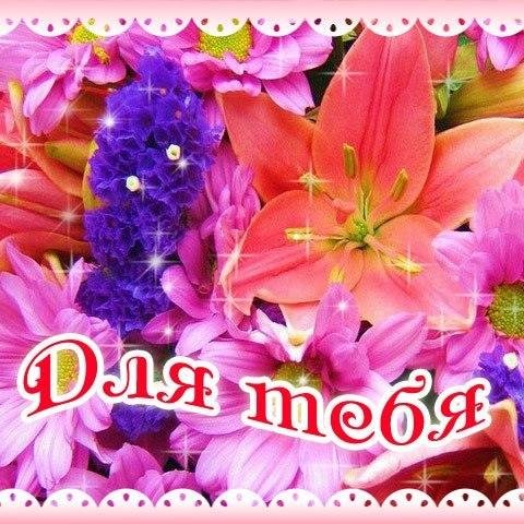 С добрым утром лилии