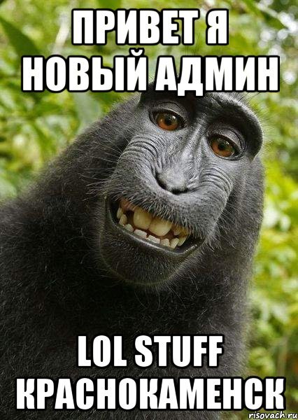 Привет админ