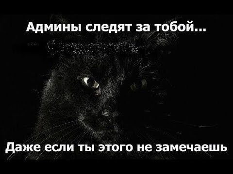 Админ группы прикол