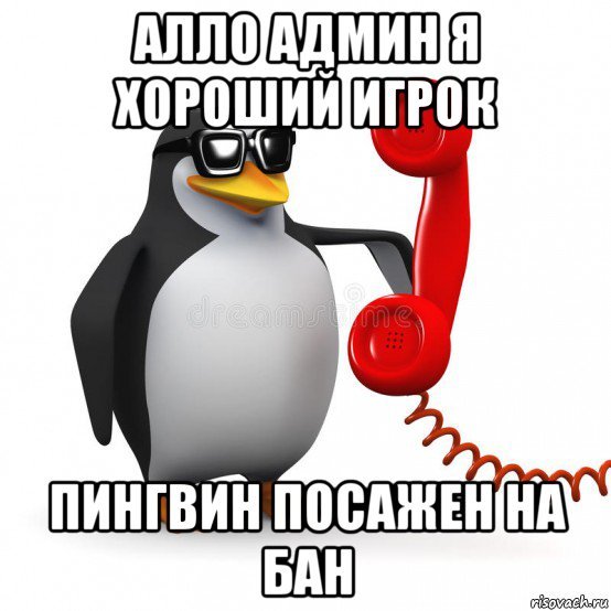 Алло это Мем с пингвином