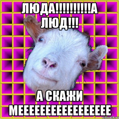 Люда мемы