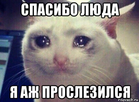 Люда Мем
