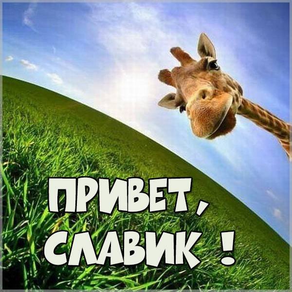 Привет Эдгар