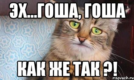 Приколы про Гошу