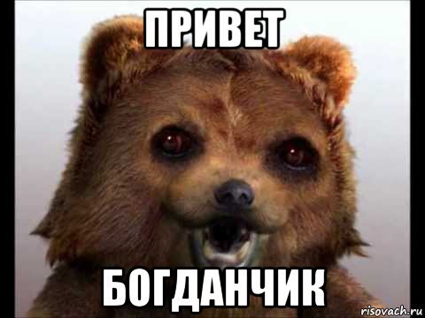 Привет Богдан картинки красивые