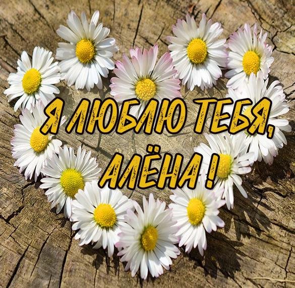 Злата я тебя люблю