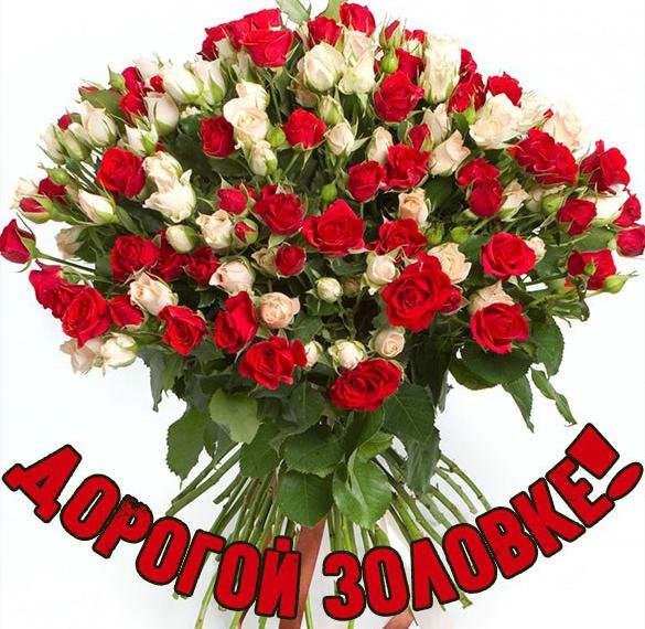 С днём рождения заловкс