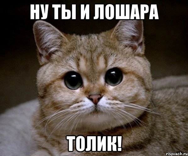 Саша Пидрила