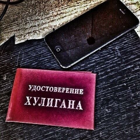 Удостоверение хулигана