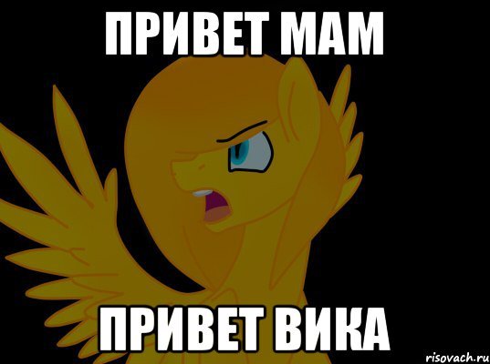 Удивленный кот с микрофоном Мем