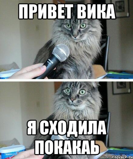 Привет Викуся