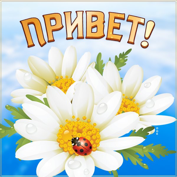 Открытки привет прикольные
