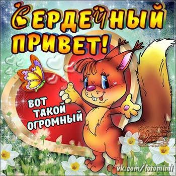 Открытки просто привет