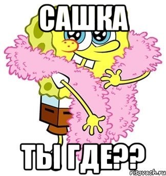 Саша ты где