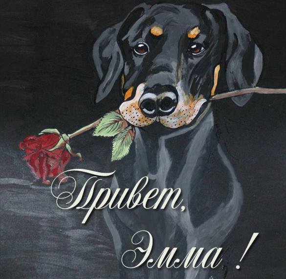 Просто привет