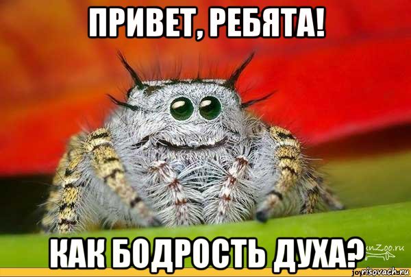 Физкультминутка 1 класс видео