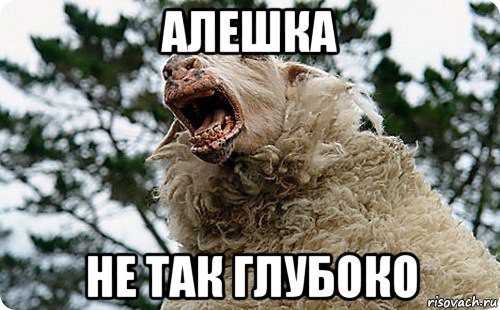 Алешка смешные картинки