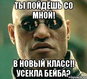 Ты моя Биба