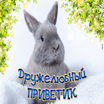 Привет Сашка