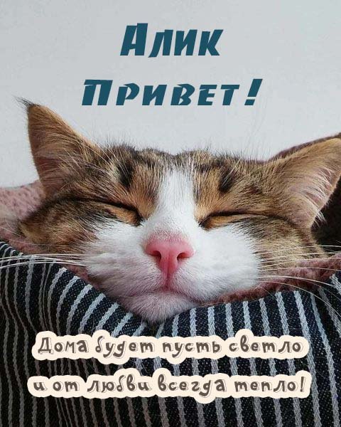 Имя Эльмира