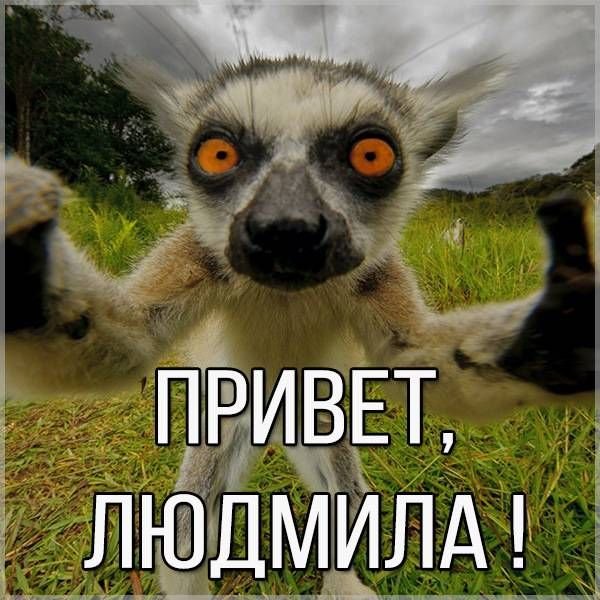 Привет Кирилл