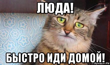 Приколы про люду