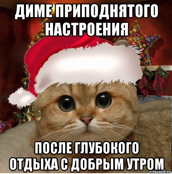 Димуля картинки