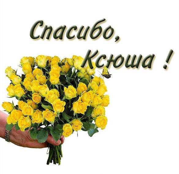 Привет я Ксения