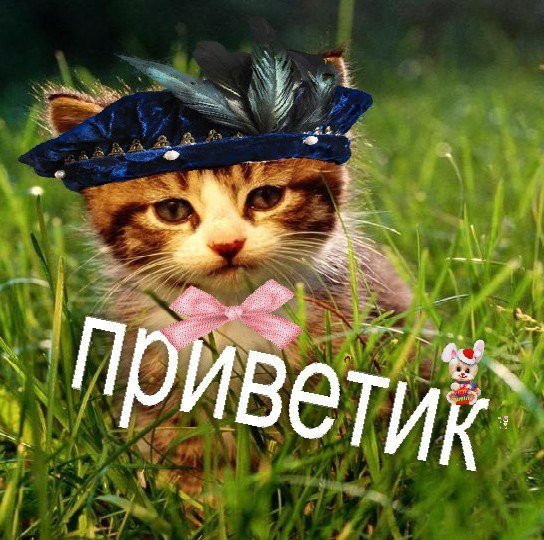 Наркоман штоле