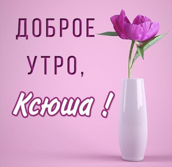 Ксюшенька надпись