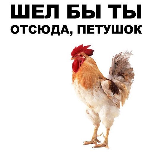 Петух петушара